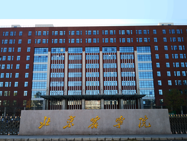 图片名称